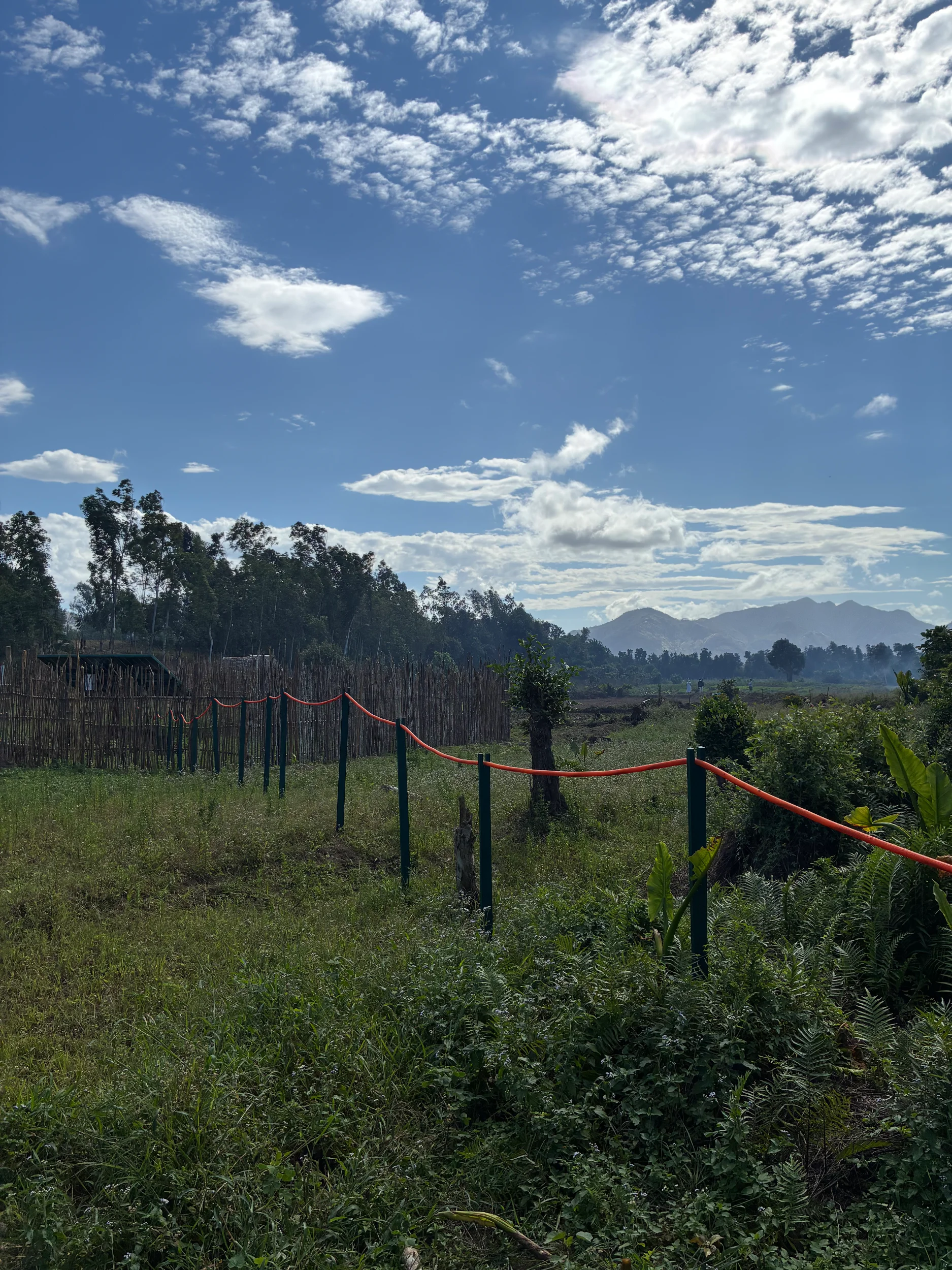 A fenced field with mountains in the background near Fort Dauphin